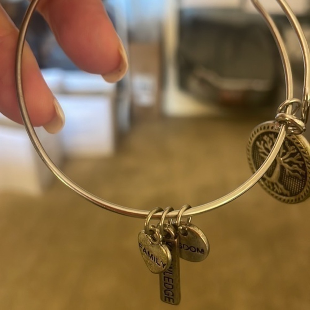 Alex and Ani Tree of Life charm bangle bracelet